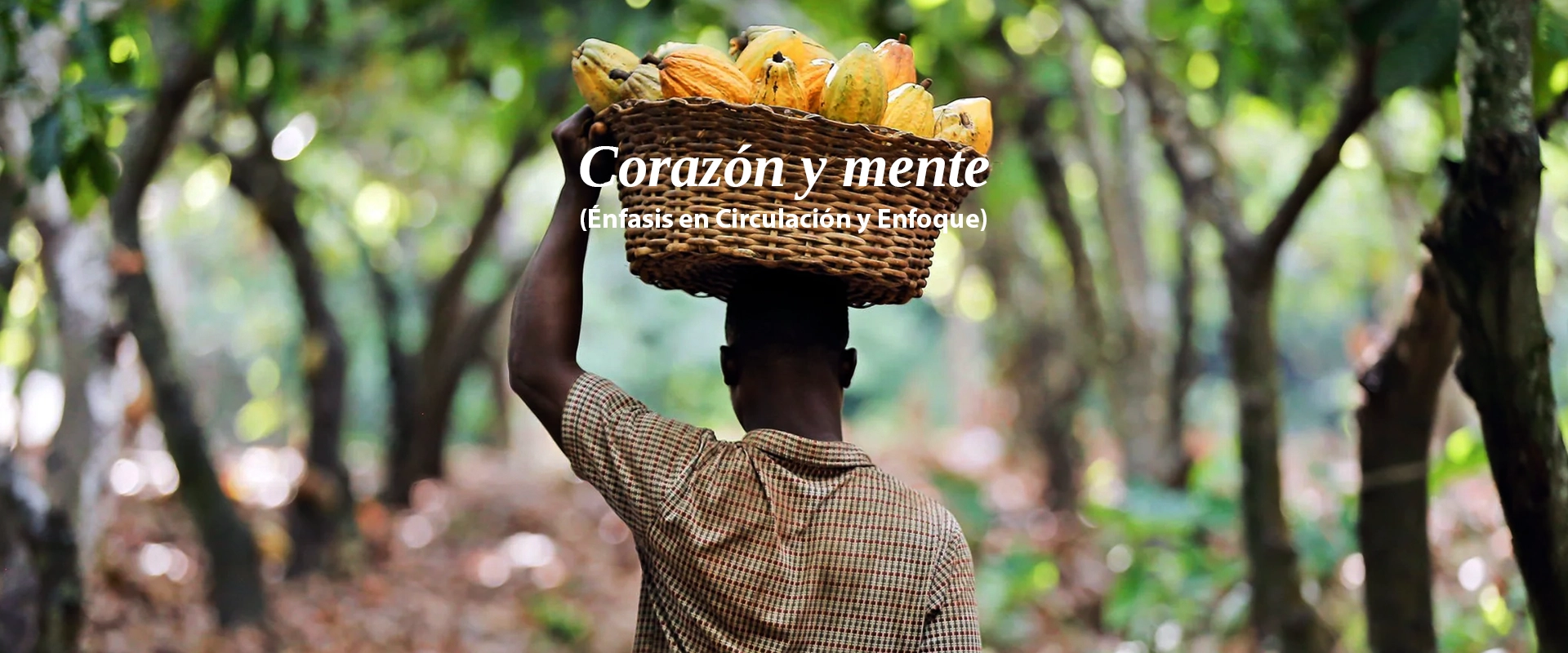 vista fotorrealista de una mujer cosechando en un jardin ecologico sostenible